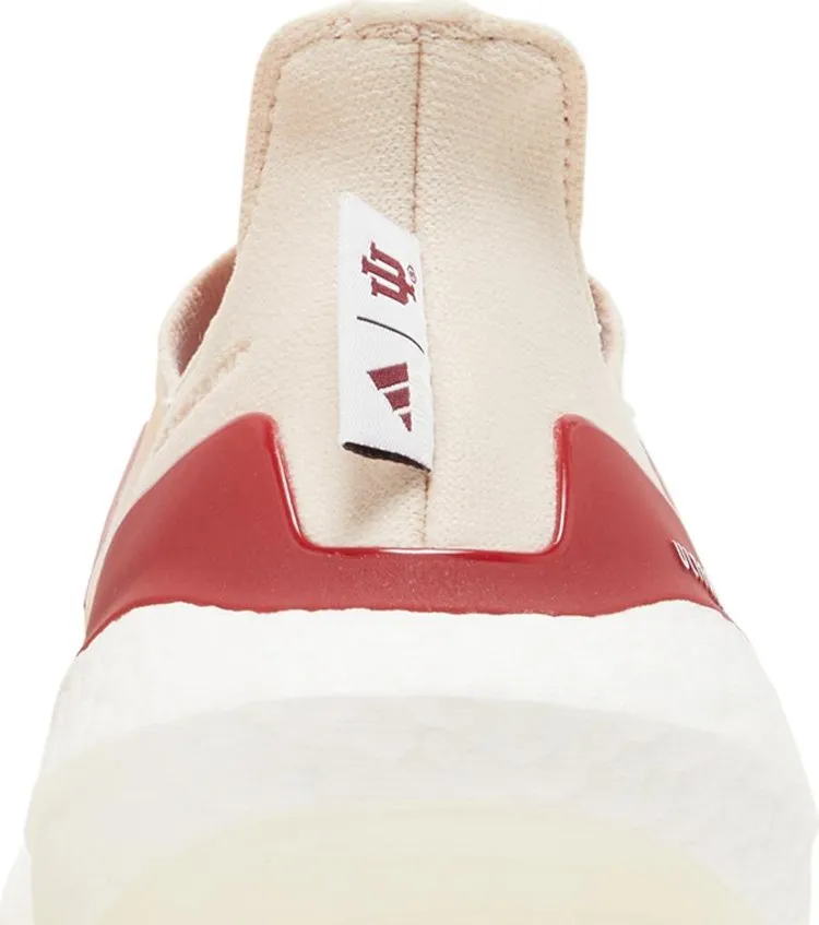 Adidas UltraBoost 21 'NCAA Pack - Indiana', red