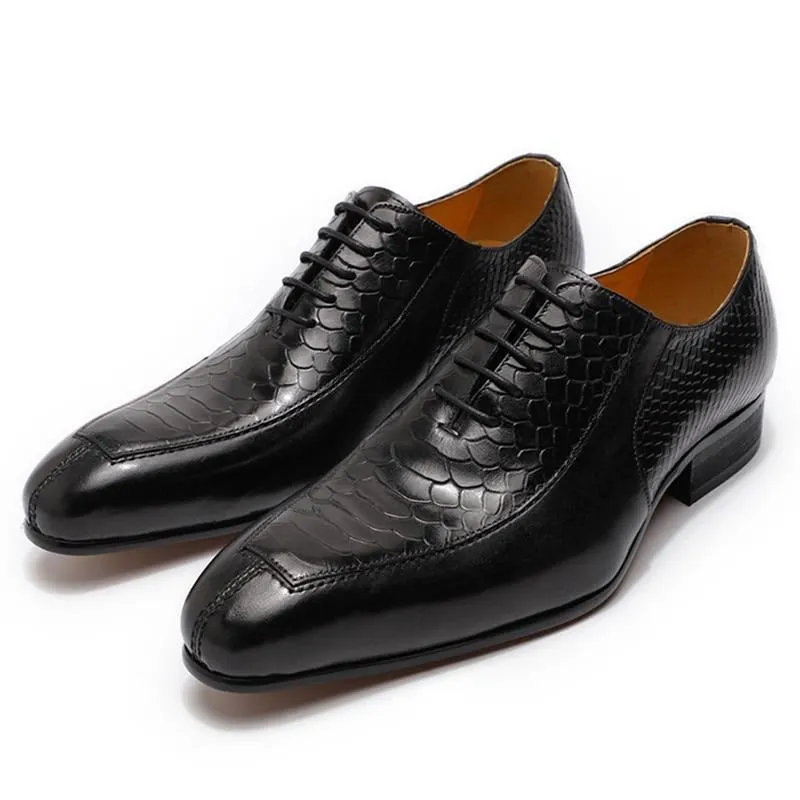 SerpentLux Exquisite Pointed Toe Oxford Shoes